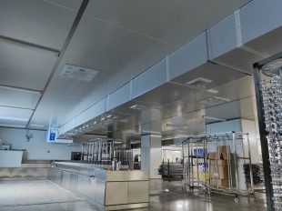 蓝思科技股份案例